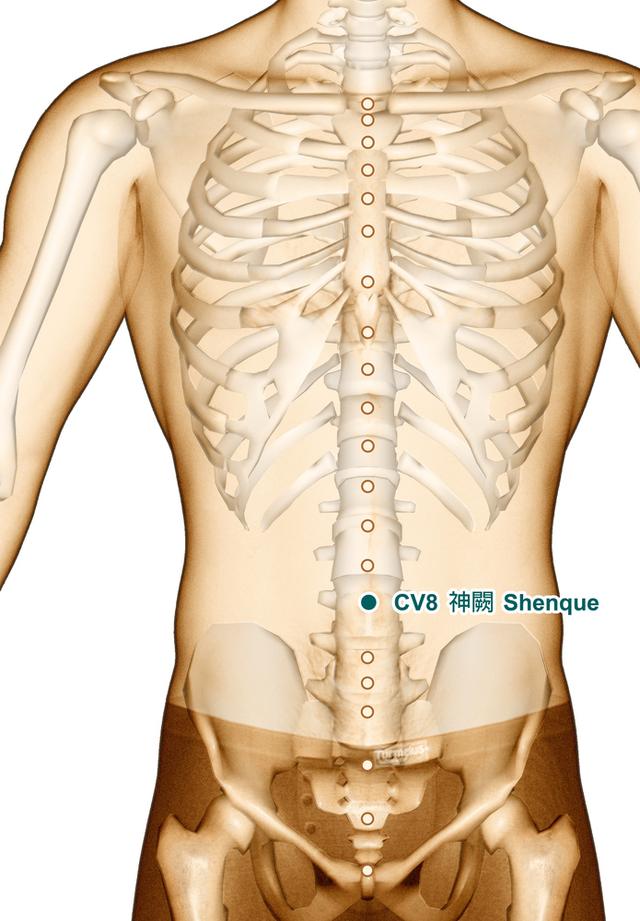 女性耻骨凸起是怎么回事
