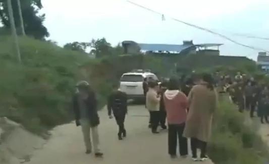 重庆藏獒伤人:如何看待福建漳州七旬老人被恶犬撕咬至死，狗主仅愿赔10万？