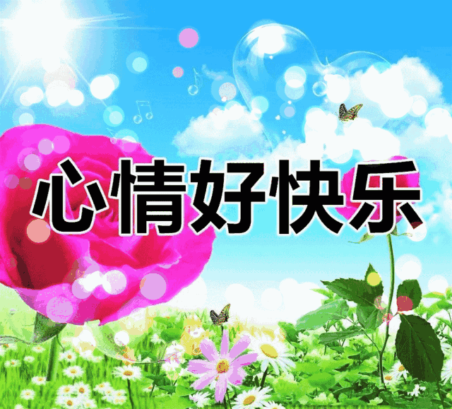 640_579gif 动态图 动图