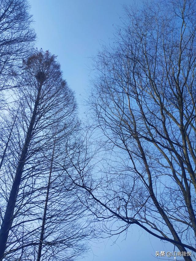 梦见单位领导,你做过的最神奇的梦是什么？