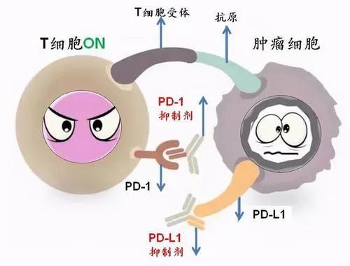 李开复患癌:孩子得了恶性肿瘤，是竭尽全力医治，还是高质量走完这一程？