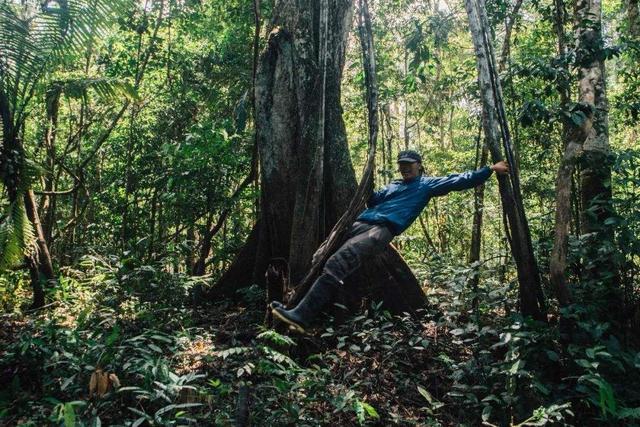亚马逊丛林纪录片，有人说，闯入亚马逊丛林活不过半天，是真的吗