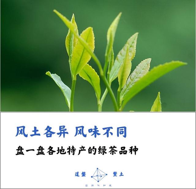 中国哪里产的绿茶最好？