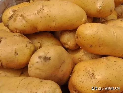 市面上的土豆越来越大，究竟和膨大剂有没有关系？你会吃吗？插图20