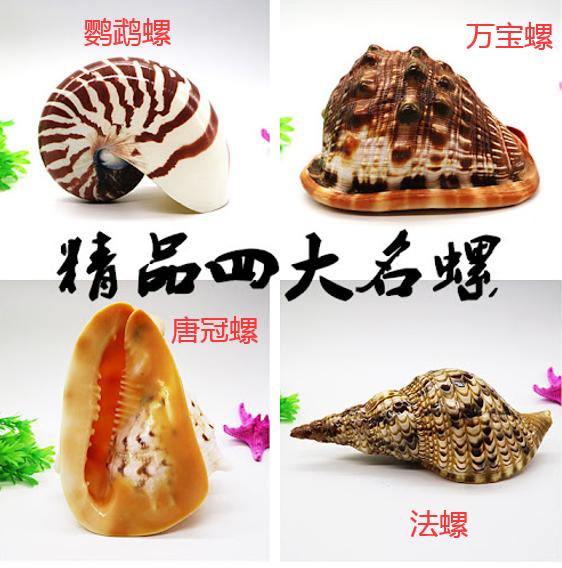 仿生学潜水艇图片:人类制造潜艇，是如何借鉴海豚的？