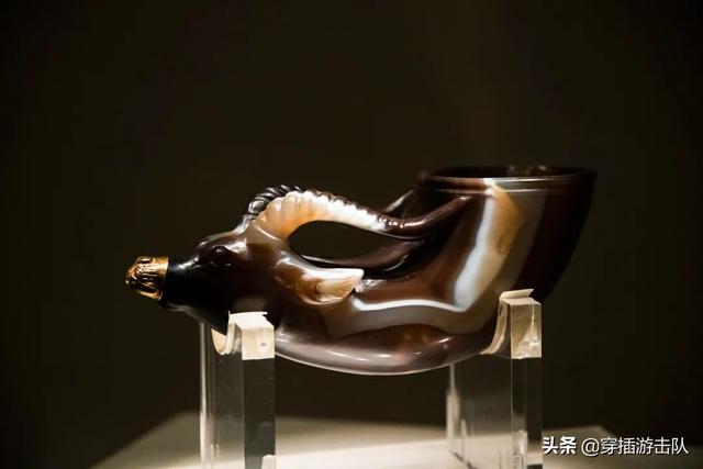 一度藏獒摄影:为什么有人拍一拍家里的狗/猫，就能有几百万粉丝？ 藏獒相册