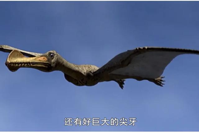 7k7k超级狗狗中文版:中琅条码打印软件安装后弹出HASP错误代码处理方法？