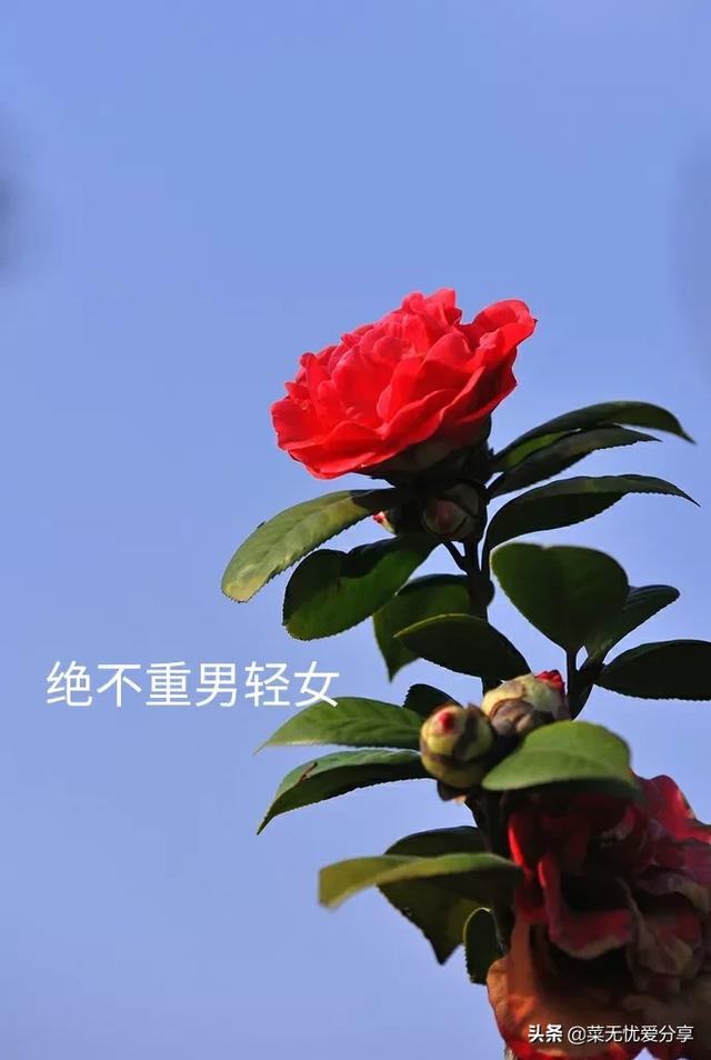 山东那边真的重男轻女吗？