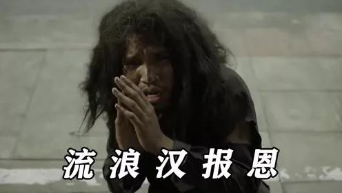 康熙宠物诊疗室三:怎样才能让一个不懂感恩的人“付出代价”？