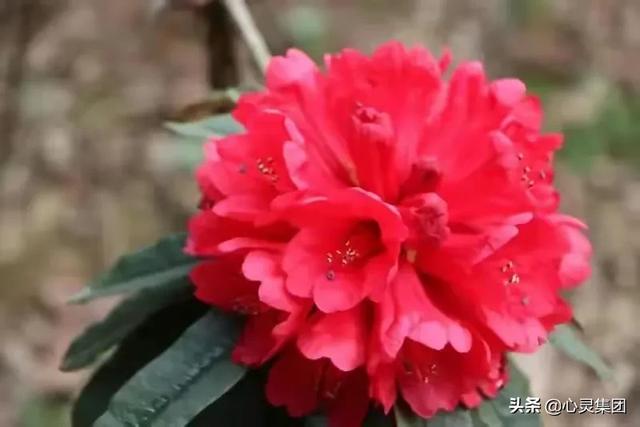 女孩要富养,但是在现实生活中为什么还是重男轻女？