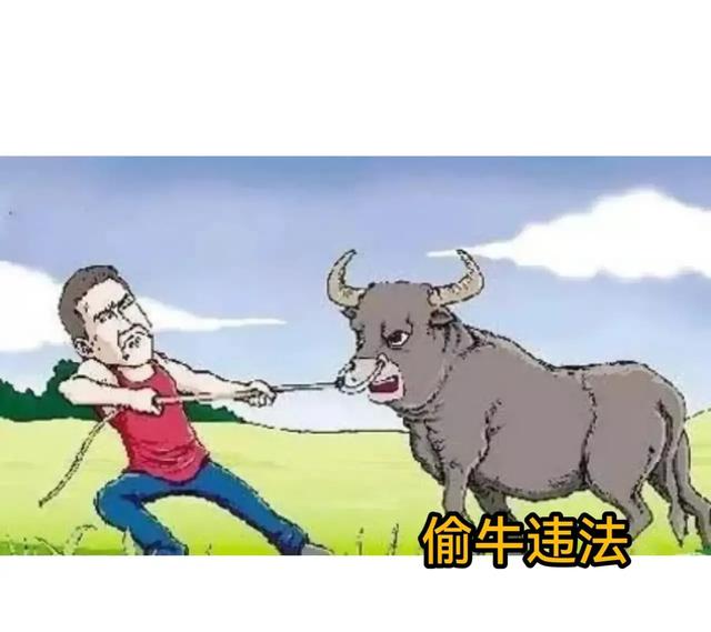青蛙少年失踪案:男子进入他人牛棚偷牛，被牛顶死，家属索赔50万，是否该赔