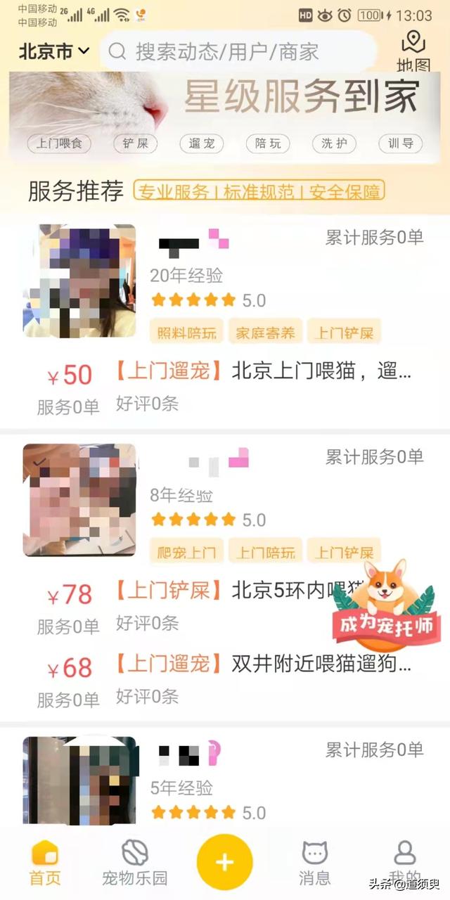 宠物:宠物行业深受追求，又能给你带来什么机会呢？