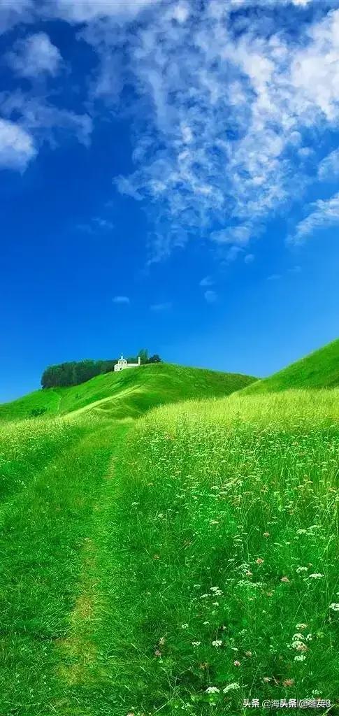 绿色护眼养眼壁纸美美哒其他网友回答:这是我用过的壁纸,有喜欢的吗?