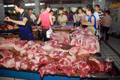 生猪价格今年跌了多少，今年生猪什么价价格可以吗