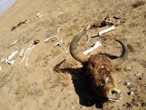 美国死亡谷:世界五大死亡谷分别是哪里？