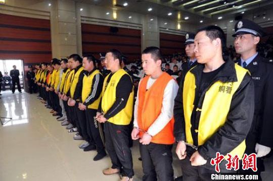 麻鹩子笼子图片:麻料鸟压口时需不需要盖笼子，是不是越黑越好？