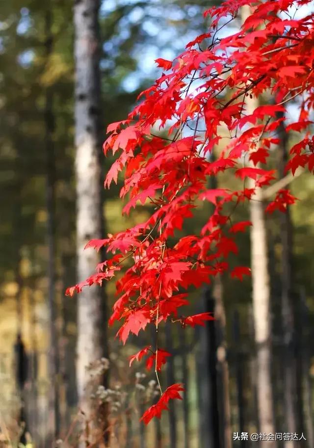 一个人压不住财的表现，“心软的人，大多发不了财”你认同这句话吗，为什么