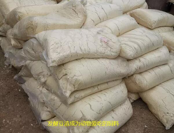 动物性饲料的加工:豆渣成本低廉如何让它适口性好成为动物爱吃的饲料？