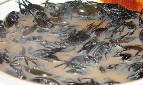 油炸毒蜘蛛:油炸毒蜘蛛可以吃吗 家里有蜘蛛怎么办，如何消灭？