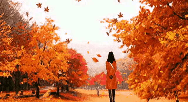 请你对下联：出句：秋花不减春花艳；对句？