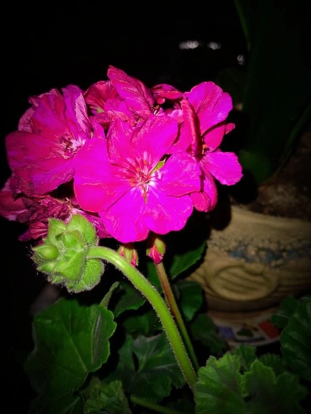 今年过年打算去哪玩,有什么好的景点？