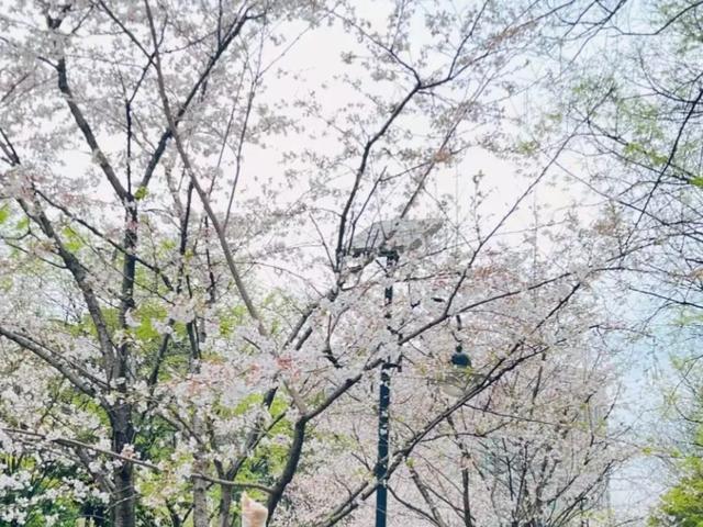 人到中年后才发现，早点生孩子和晚点生孩子差别很大，你怎么看？插图1