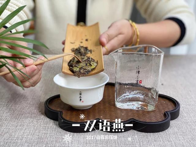 白茶杯犬多少钱一只:买老白茶，送焖烧壶，最近这种广告铺天盖地，值不值得买？