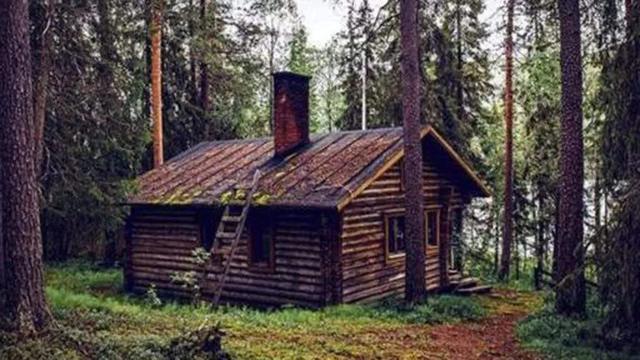 世界森林双倍扩大会怎样，俄罗斯森林中有很多小木屋，但为什么都说不要轻易进去