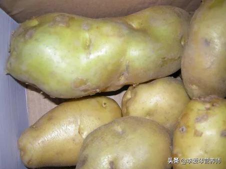 吃发芽绿皮了的土豆会咋样？