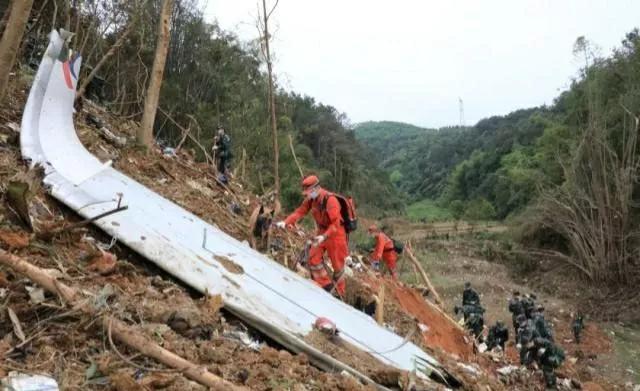 消防员救狗跳粪坑:河南南阳一只小狗陷火场，狗妈妈嚎叫求救，你怎么看这件事？