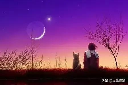 世上最美的情诗是哪一首？