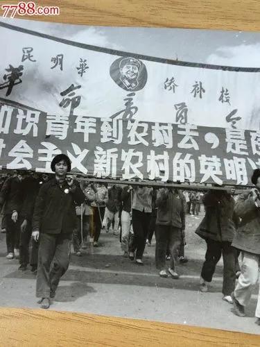 下过乡的知青现在都在做啥呢？插图6