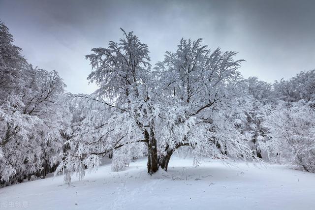 一户不开二道门,大家住民宿时，有碰到过什么可怕的经历吗？