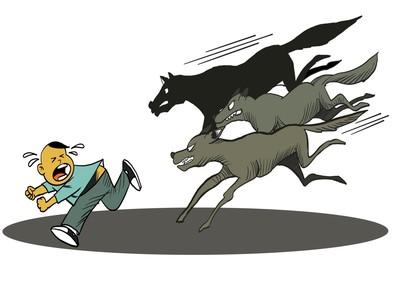 狗的命门在哪里？被大型犬追咬时，怎样做才是正确的自救方法？插图29