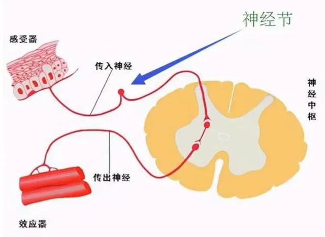 人类面对极限低温会有哪些反应