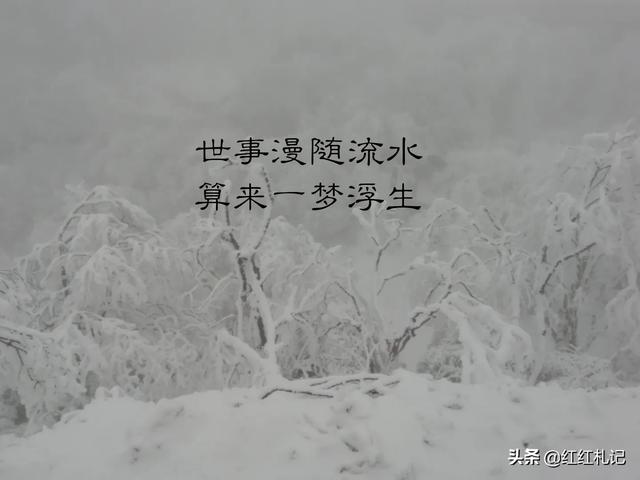 有什么句子让你莫名心酸伤感，句句扎心，红了眼眶