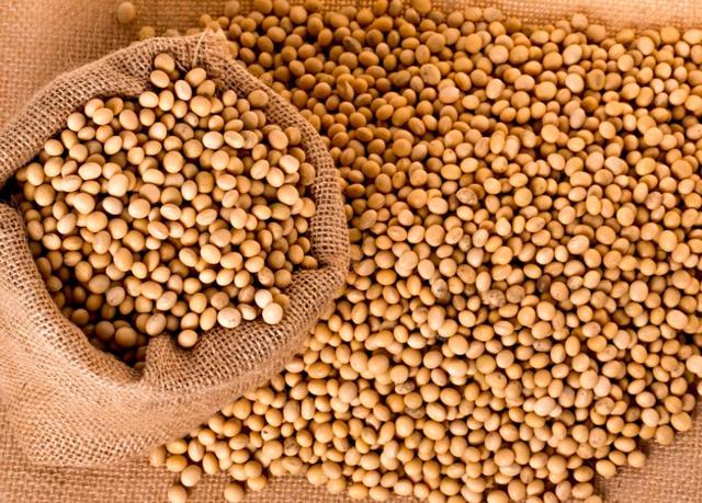 秦始皇时代的人们都吃些什么？主食蔬菜是如何烹饪的？插图34