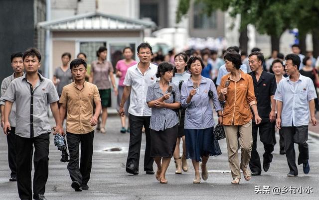 成年防暴犬价格表:去朝鲜旅游一次大概花费多少钱？哪些物品不能随身携带？ 防暴犬价格大全及图片