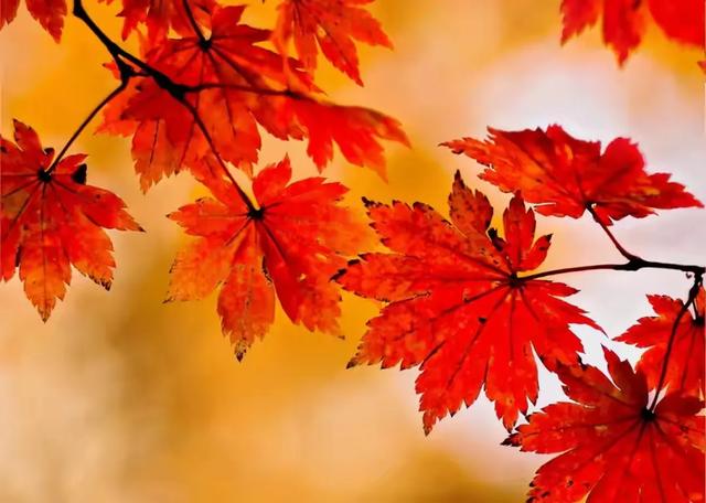 70后的朋友，你们感觉自己步入更年期了吗？ 30岁进入更年期了吗