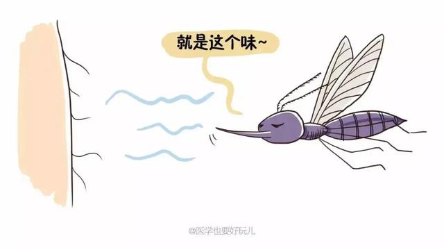 狗狗心丝虫血检:狗狗撒尿的血是淡红色怎么办呢？