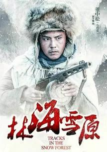 如何评价小说《林海雪原》？