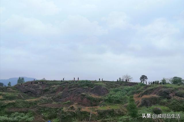 出生有异象小孩有出息,长大有出息的孩子，小时候是什么样的？