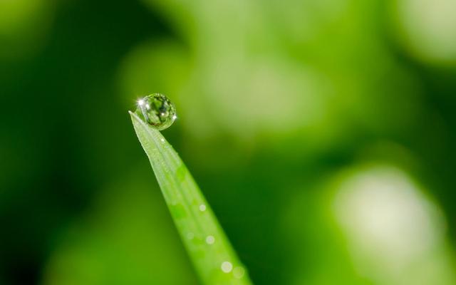 气质高贵的白冠噪鹛:基础白衬衫有哪些心机穿法，怎么利用白衬衫凹出高级感？