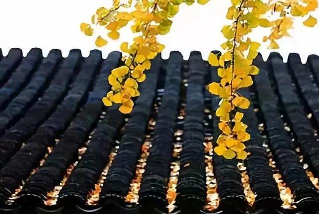 家庭出现灵异事件:“家”出现什么情况预示败落的开始？速看？