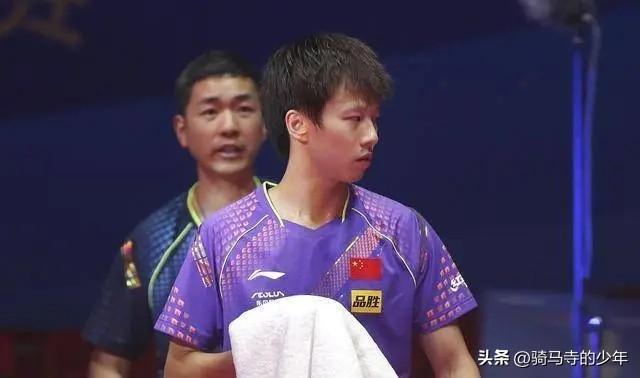 鬼脸藏獒在线免费阅读:藏獒到底做错了什么？被人类如此抹黑？