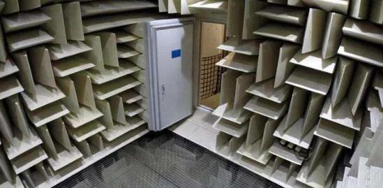 为什么有人说很少有人能在绝对静音无声的密室里撑过1小时？插图41