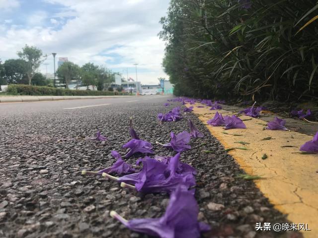 给领导写的发言稿有生僻字要不要注音,怎么提醒？