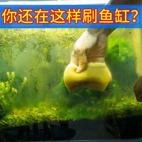 中国观赏鱼之家在线观看:新买的鱼缸，水混怎么办啊？