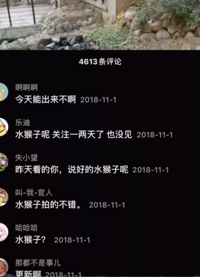 诺里奇梗百科图片:“博物君”无穷小亮为什么那么钟爱解说水猴子？ 诺里奇梗