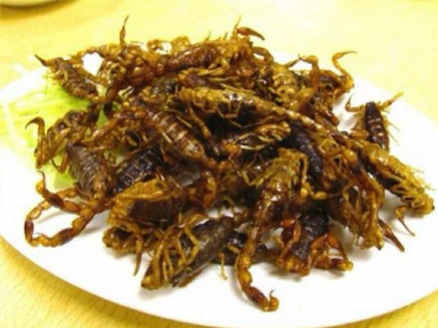 油炸花蜘蛛有多少人敢吃，为什么广东人什么东西都吃，还敢吃